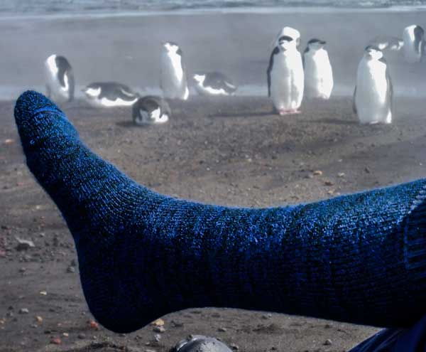 Lindner Socks, warmer than penguins